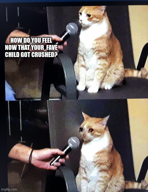 Cat interview crying | HOW DO YOU FEEL NOW THAT YOUR  FAVE CHILD GOT CRUSHED? | image tagged in cat interview crying | made w/ Imgflip meme maker