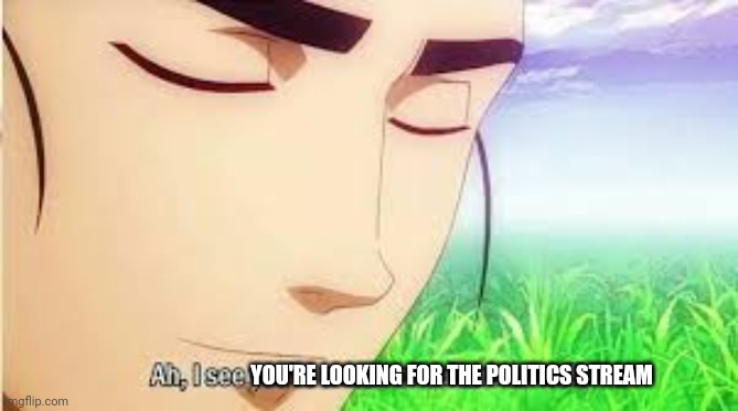 Ah,I see you are a man of culture as well | YOU'RE LOOKING FOR THE POLITICS STREAM | image tagged in ah i see you are a man of culture as well | made w/ Imgflip meme maker