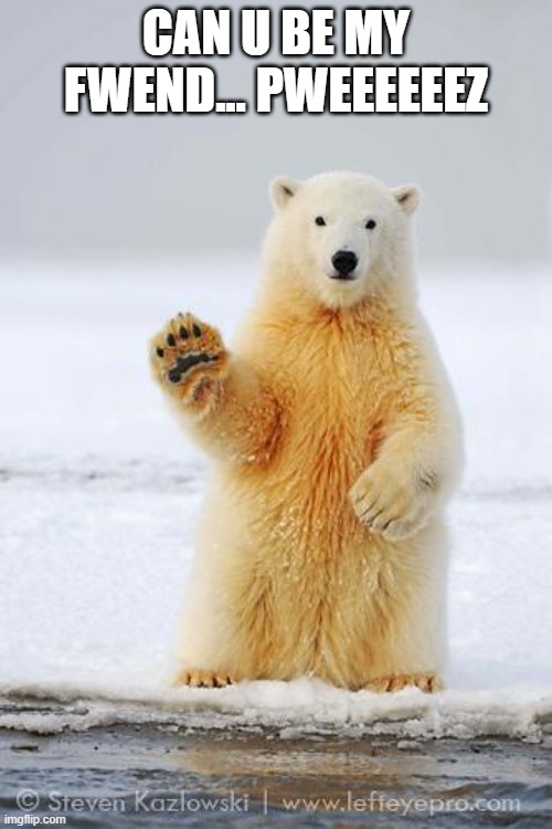 hello polar bear | CAN U BE MY FWEND... PWEEEEEEZ | image tagged in hello polar bear | made w/ Imgflip meme maker