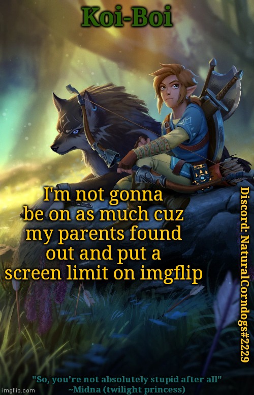 Not like anyone cares | I'm not gonna be on as much cuz my parents found out and put a screen limit on imgflip | image tagged in link template | made w/ Imgflip meme maker