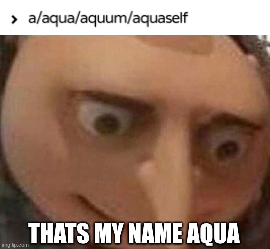 well another Nickname i go by | THATS MY NAME AQUA | image tagged in gru meme,pronouns | made w/ Imgflip meme maker