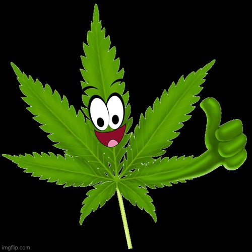 cannabis cancro | image tagged in cannabis cancro | made w/ Imgflip meme maker