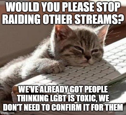 Hating another stream back as revenge does NOT make it justice! | WOULD YOU PLEASE STOP RAIDING OTHER STREAMS? WE'VE ALREADY GOT PEOPLE THINKING LGBT IS TOXIC, WE DON'T NEED TO CONFIRM IT FOR THEM | image tagged in tired cat,just stop,it's really not that hard,just ignore,you're just proving them right | made w/ Imgflip meme maker