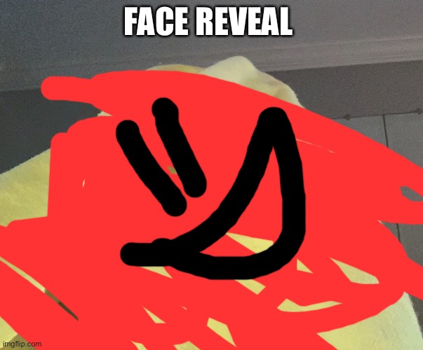 FACE REVEAL | made w/ Imgflip meme maker