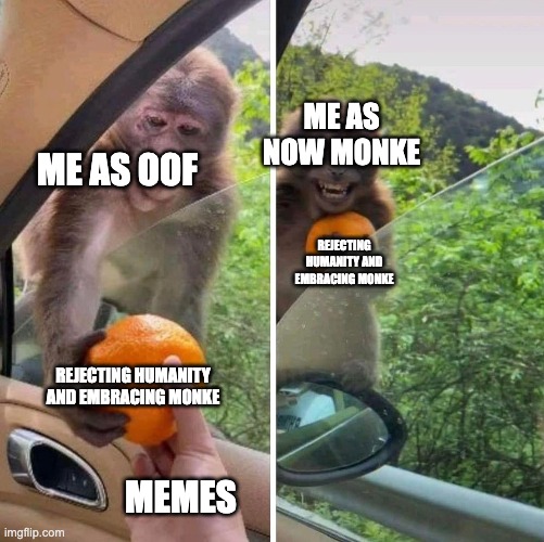 monkey getting an orange | ME AS NOW MONKE; ME AS OOF; REJECTING HUMANITY AND EMBRACING MONKE; REJECTING HUMANITY AND EMBRACING MONKE; MEMES | image tagged in monkey getting an orange | made w/ Imgflip meme maker