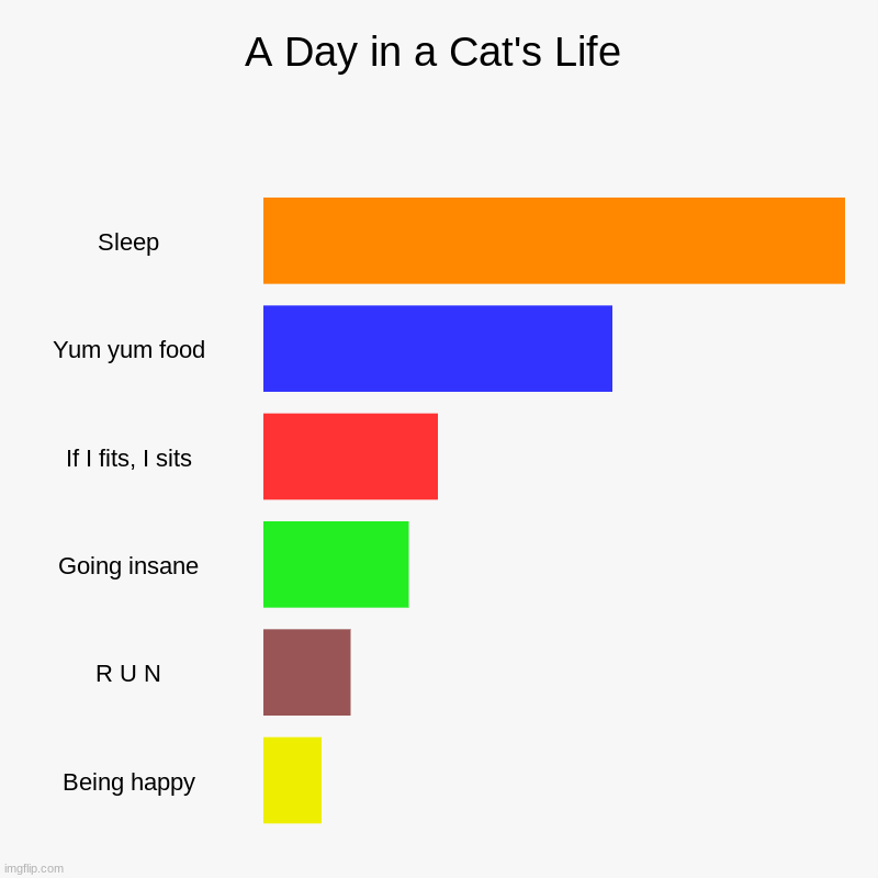 Cats. | A Day in a Cat's Life | Sleep, Yum yum food, If I fits, I sits, Going insane, R U N, Being happy | image tagged in charts,bar charts,cats,sleep,food,funny | made w/ Imgflip chart maker