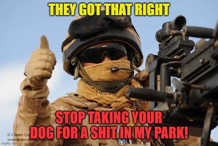 You Got That Right!!!! | THEY GOT THAT RIGHT STOP TAKING YOUR DOG FOR A SHIT IN MY PARK! | image tagged in you got that right | made w/ Imgflip meme maker