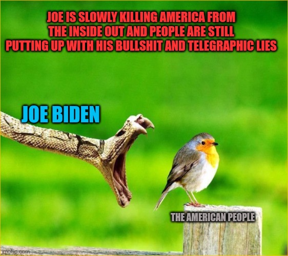 People this generation are built different. | JOE IS SLOWLY KILLING AMERICA FROM THE INSIDE OUT AND PEOPLE ARE STILL PUTTING UP WITH HIS BULLSHIT AND TELEGRAPHIC LIES; JOE BIDEN; THE AMERICAN PEOPLE | image tagged in snake reality bites,special kind of different | made w/ Imgflip meme maker