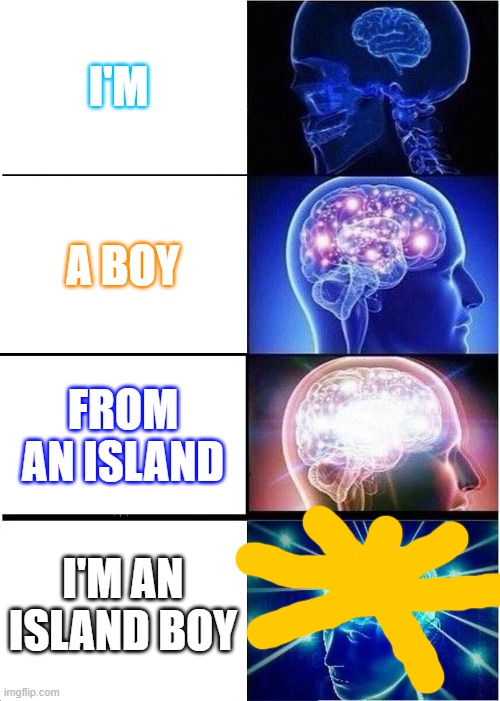 Just Trying To Make It | I'M; A BOY; FROM AN ISLAND; I'M AN ISLAND BOY | image tagged in memes,expanding brain,funny,funny memes,island | made w/ Imgflip meme maker