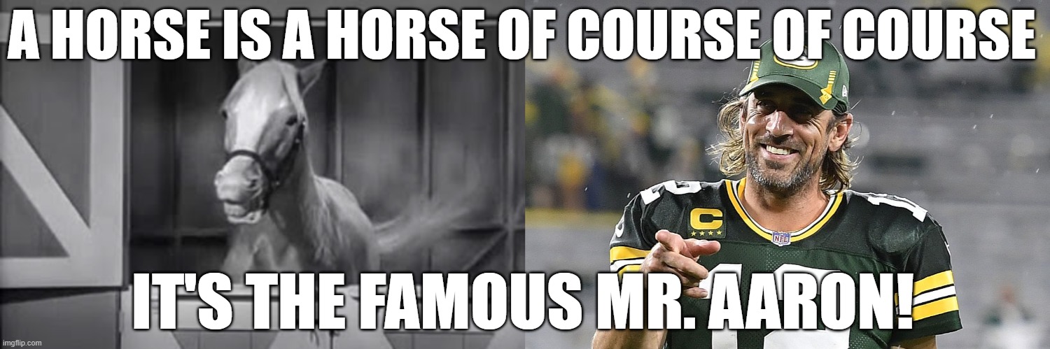 Aaron Rodgers is a horse.....who knew?! | A HORSE IS A HORSE OF COURSE OF COURSE; IT'S THE FAMOUS MR. AARON! | image tagged in aaron rodgers | made w/ Imgflip meme maker