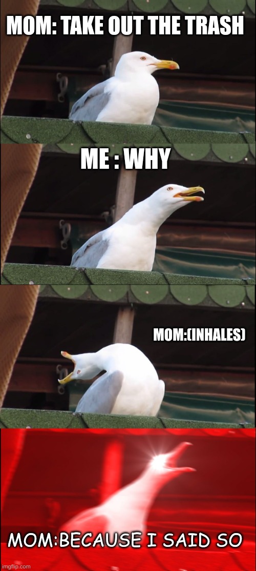 Inhaling Seagull Meme | MOM: TAKE OUT THE TRASH; ME : WHY; MOM:(INHALES); MOM:BECAUSE I SAID SO | image tagged in memes,inhaling seagull | made w/ Imgflip meme maker