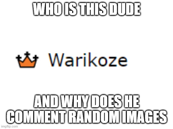 Blank White Template | WHO IS THIS DUDE; AND WHY DOES HE COMMENT RANDOM IMAGES | image tagged in blank white template | made w/ Imgflip meme maker