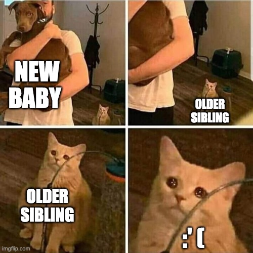 Used to be loved :' ( |  NEW BABY; OLDER SIBLING; OLDER SIBLING; :' ( | image tagged in sad cat holding dog,sad,true,funny,funny memes,memes | made w/ Imgflip meme maker