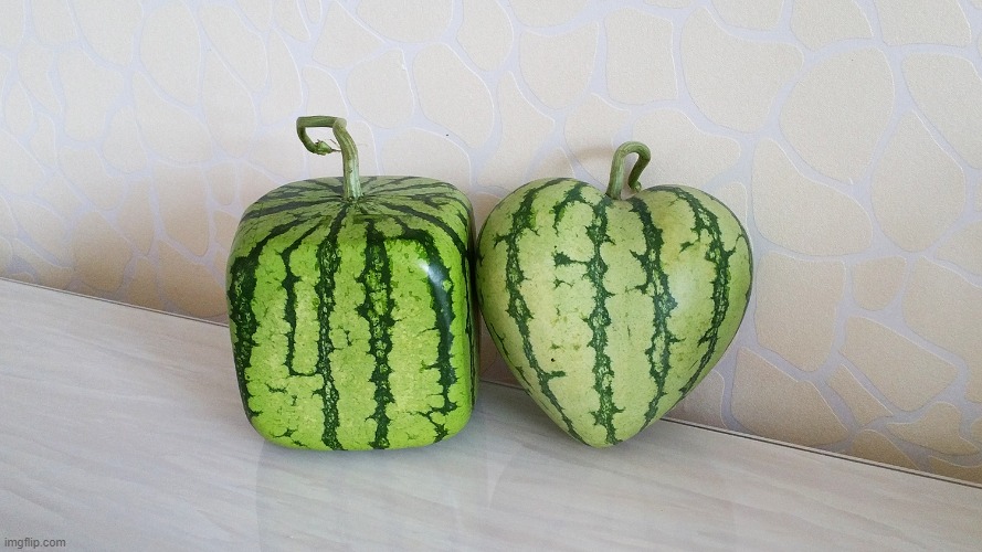watermelons | made w/ Imgflip meme maker