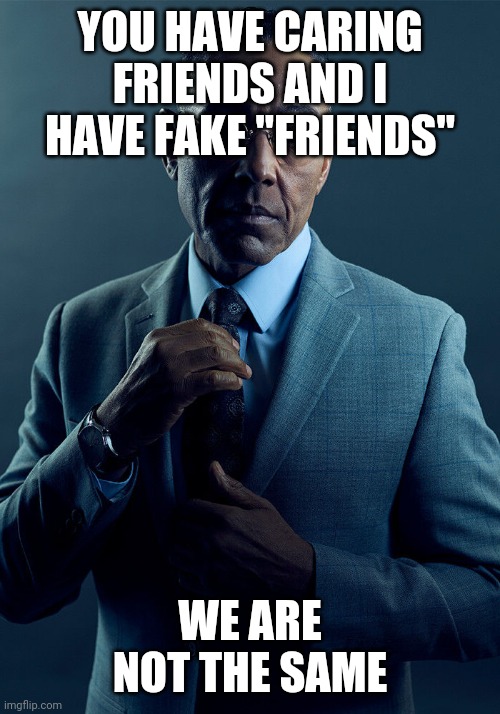 Stay happy guys, don't let anyone hurt you | YOU HAVE CARING FRIENDS AND I HAVE FAKE "FRIENDS"; WE ARE NOT THE SAME | image tagged in gus fring we are not the same | made w/ Imgflip meme maker