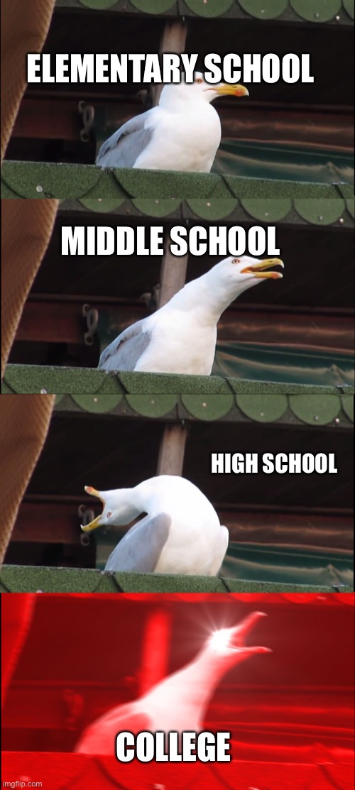 School be like | ELEMENTARY SCHOOL; MIDDLE SCHOOL; HIGH SCHOOL; COLLEGE | image tagged in memes,inhaling seagull,relatable | made w/ Imgflip meme maker