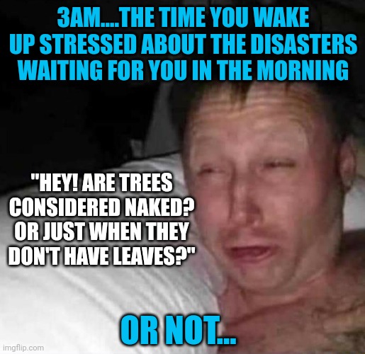 Waking up early stinks |  3AM....THE TIME YOU WAKE UP STRESSED ABOUT THE DISASTERS WAITING FOR YOU IN THE MORNING; "HEY! ARE TREES CONSIDERED NAKED? OR JUST WHEN THEY DON'T HAVE LEAVES?"; OR NOT... | image tagged in sleepy guy,too early,worried | made w/ Imgflip meme maker