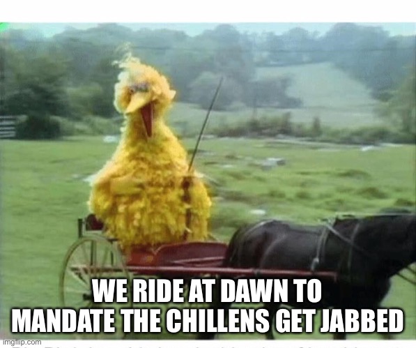 Mandate the chillens | WE RIDE AT DAWN TO MANDATE THE CHILLENS GET JABBED | image tagged in big bird in carriage | made w/ Imgflip meme maker