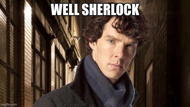 Sherlock holmes | WELL SHERLOCK | image tagged in sherlock holmes | made w/ Imgflip meme maker