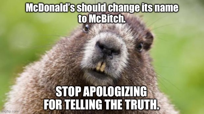 McBitch | McDonald’s should change its name
to McBitch. STOP APOLOGIZING FOR TELLING THE TRUTH. | image tagged in mr beaver,memes,mcdonalds,liberal logic,sorry,truth | made w/ Imgflip meme maker