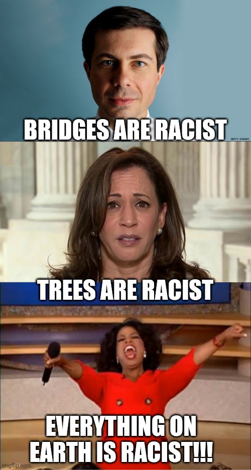 BRIDGES ARE RACIST; TREES ARE RACIST; EVERYTHING ON EARTH IS RACIST!!! | image tagged in pete buttigieg,kamala harris,memes,oprah you get a | made w/ Imgflip meme maker