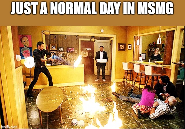 msmg | JUST A NORMAL DAY IN MSMG | image tagged in chaotic house | made w/ Imgflip meme maker