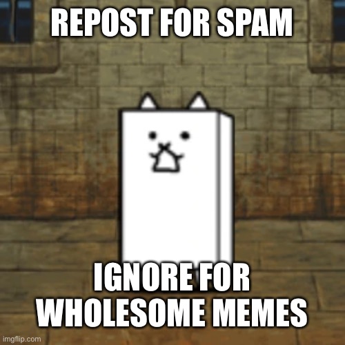 If legit no one reposts this my mission was successful | REPOST FOR SPAM; IGNORE FOR WHOLESOME MEMES | image tagged in wall cat | made w/ Imgflip meme maker