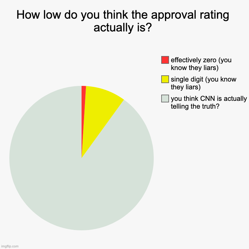 Given that they still say with a straight face that "Biden is more popular than Obama" | How low do you think the approval rating actually is? | you think CNN is actually telling the truth?, single digit (you know they liars), ef | image tagged in charts,pie charts | made w/ Imgflip chart maker