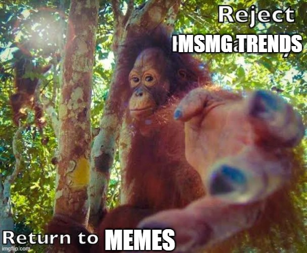 Return to monke | MSMG TRENDS MEMES | image tagged in return to monke | made w/ Imgflip meme maker