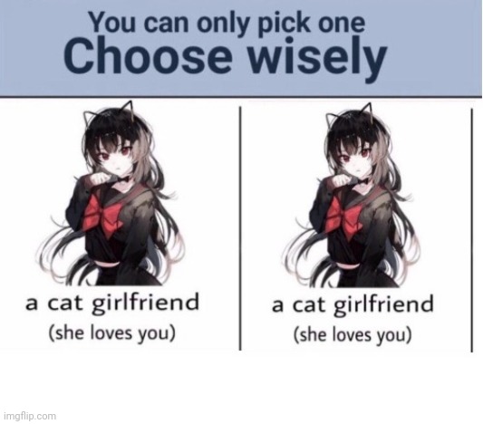 Choose wisely | image tagged in choose wisely | made w/ Imgflip meme maker