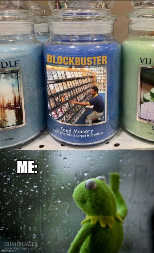 I MISS THE MOVIE STORES |  ME: | image tagged in kermit window,blockbuster,movies | made w/ Imgflip meme maker