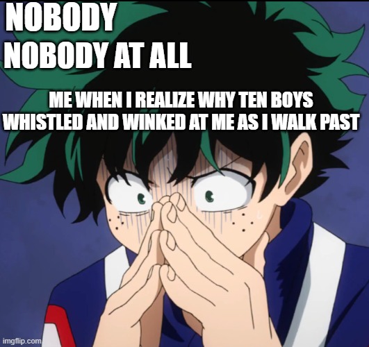It did happen. Today in fact. Somebody help me. I need to know what to do and how do I handle this? | NOBODY; NOBODY AT ALL; ME WHEN I REALIZE WHY TEN BOYS WHISTLED AND WINKED AT ME AS I WALK PAST | image tagged in suffering deku | made w/ Imgflip meme maker