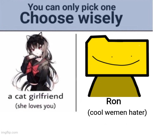 Choose wisely | Ron; (cool wemen hater) | image tagged in choose wisely | made w/ Imgflip meme maker