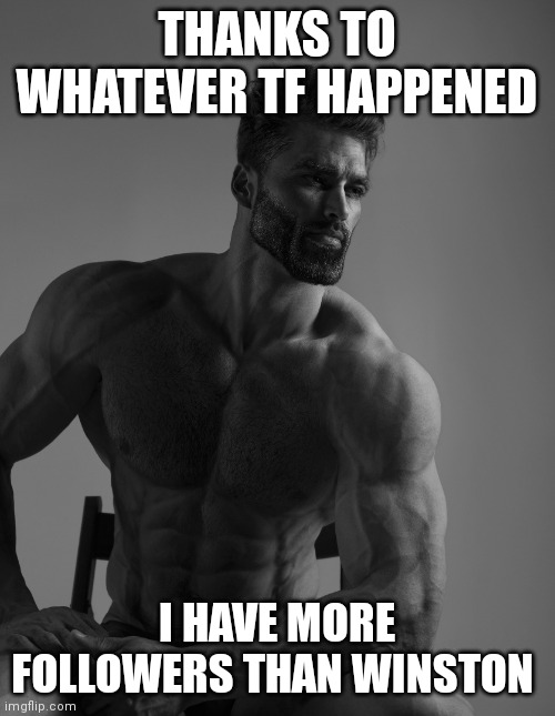 Giga Chad | THANKS TO WHATEVER TF HAPPENED; I HAVE MORE FOLLOWERS THAN WINSTON | image tagged in giga chad | made w/ Imgflip meme maker