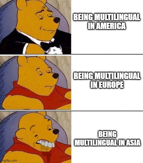 Tuxedo on Top Winnie The Pooh (3 panel) | BEING MULTILINGUAL IN AMERICA; BEING MULTILINGUAL IN EUROPE; BEING MULTILINGUAL IN ASIA | image tagged in tuxedo on top winnie the pooh 3 panel | made w/ Imgflip meme maker