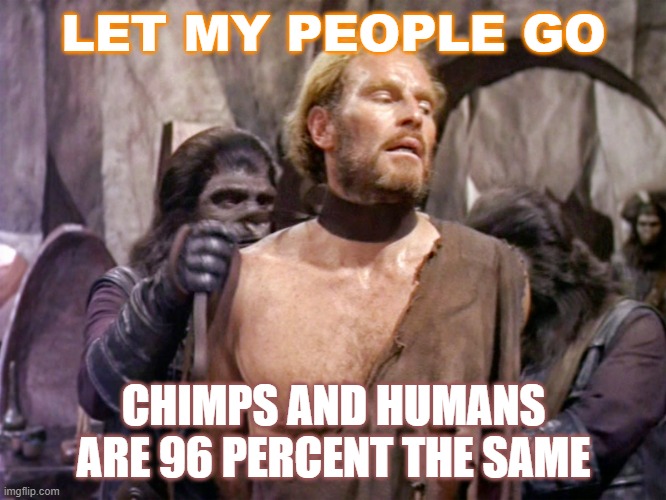 Let My People Go; Chimps and Humans are 96 Percent the Same | LET MY PEOPLE GO; CHIMPS AND HUMANS ARE 96 PERCENT THE SAME | image tagged in planet of the apes | made w/ Imgflip meme maker