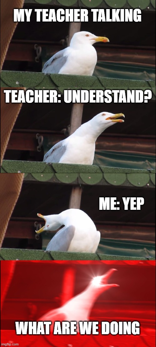 Inhaling Seagull Meme | MY TEACHER TALKING; TEACHER: UNDERSTAND? ME: YEP; WHAT ARE WE DOING | image tagged in memes,inhaling seagull | made w/ Imgflip meme maker