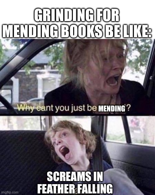 Annoyed | GRINDING FOR MENDING BOOKS BE LIKE:; MENDING; SCREAMS IN FEATHER FALLING | image tagged in why can't you just be normal | made w/ Imgflip meme maker