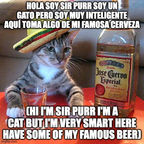 Nessesito twenti frii tacos! | HOLA SOY SIR PURR SOY UN GATO PERO SOY MUY INTELIGENTE AQUÍ TOMA ALGO DE MI FAMOSA CERVEZA; (HI I'M SIR PURR I'M A CAT BUT I'M VERY SMART HERE HAVE SOME OF MY FAMOUS BEER) | image tagged in nessesito twenti frii tacos | made w/ Imgflip meme maker