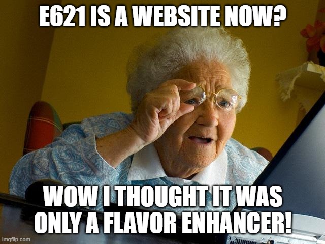 dont do it grandma | E621 IS A WEBSITE NOW? WOW I THOUGHT IT WAS ONLY A FLAVOR ENHANCER! | image tagged in furry | made w/ Imgflip meme maker