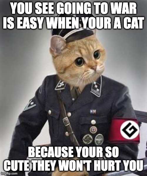 Grammar Nazi Cat | YOU SEE GOING TO WAR IS EASY WHEN YOUR A CAT; BECAUSE YOUR SO CUTE THEY WON'T HURT YOU | image tagged in grammar nazi cat | made w/ Imgflip meme maker