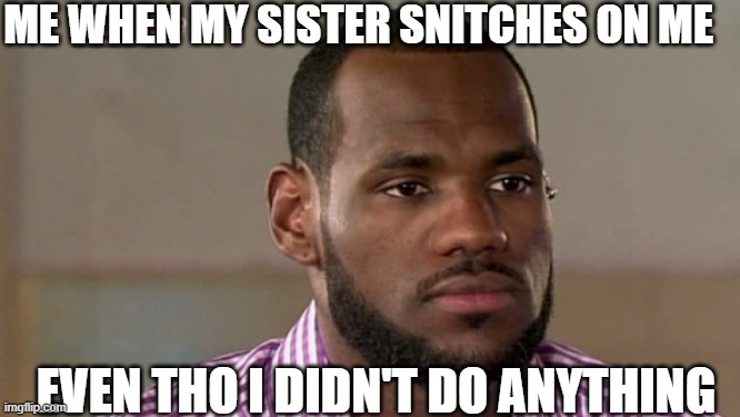 the cringy meme | ME WHEN MY SISTER SNITCHES ON ME; EVEN THO I DIDN'T DO ANYTHING | image tagged in lebron james the decision | made w/ Imgflip meme maker