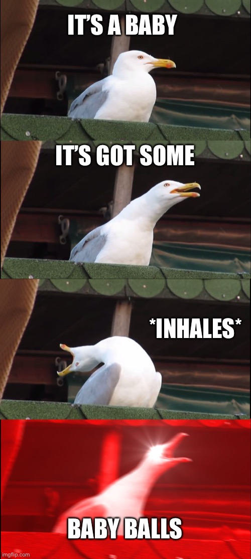 Inhaling Seagull | IT’S A BABY; IT’S GOT SOME; *INHALES*; BABY BALLS | image tagged in memes,inhaling seagull | made w/ Imgflip meme maker