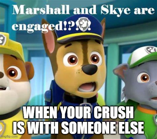 paw patrol meme |  WHEN YOUR CRUSH IS WITH SOMEONE ELSE | image tagged in paw patrol,marshall,chase,sky,rocky | made w/ Imgflip meme maker