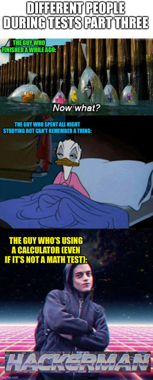 Different people during tests part three | DIFFERENT PEOPLE DURING TESTS PART THREE; THE GUY WHO FINISHED A WHILE AGO:; THE GUY WHO SPENT ALL NIGHT STUDYING BUT CAN’T REMEMBER A THING:; THE GUY WHO’S USING A CALCULATOR (EVEN IF IT’S NOT A MATH TEST): | image tagged in now what,sleepy donald duck in bed,hackerman | made w/ Imgflip meme maker