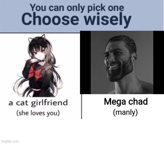 Ik where I stand | Mega chad; (manly) | image tagged in choose wisely,mega chad,cat girl | made w/ Imgflip meme maker