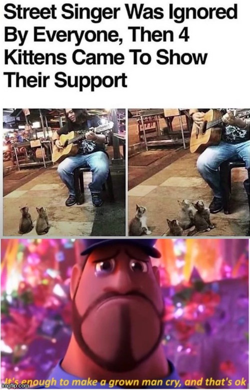 AWWw | image tagged in it's enough to make a grown man cry and that's ok,kittens,street singer,wholesome,heartwarming,sweet | made w/ Imgflip meme maker