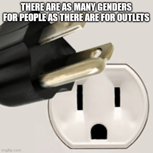 Gender Issue Plug | THERE ARE AS MANY GENDERS FOR PEOPLE AS THERE ARE FOR OUTLETS | image tagged in gender issue plug | made w/ Imgflip meme maker