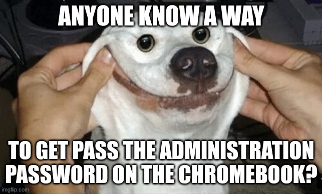 please | ANYONE KNOW A WAY; TO GET PASS THE ADMINISTRATION PASSWORD ON THE CHROMEBOOK? | image tagged in yuh | made w/ Imgflip meme maker