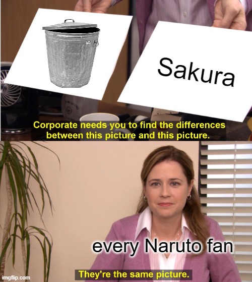 They're The Same Picture | Sakura; every Naruto fan | image tagged in memes,they're the same picture | made w/ Imgflip meme maker